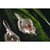国美黄金 莲汀语耳饰（银色）2101K040(925)第3张高清大图